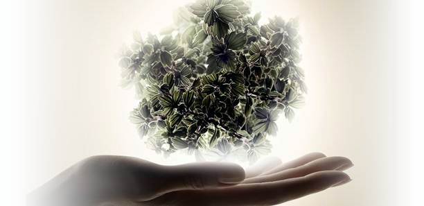 打造新生肌的高質感訂製服保養  全新誕生