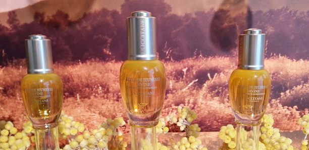 歐舒丹熱賣蠟菊系列「神油」連美容達人也愛