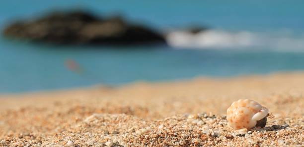 頂級品牌LAMER進攻網路  邀妳上網感受「 海洋療癒力」｜品牌活動快訊