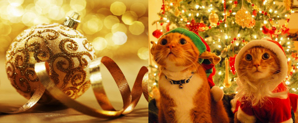 聖誕節用FB聊天也是很有氣氛的❤