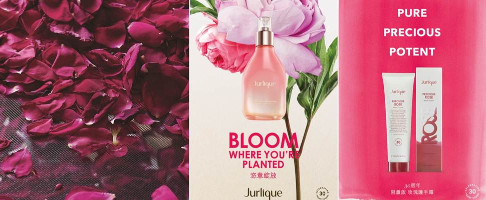 以限量版手摘玫瑰配方呵護你的每一吋肌膚