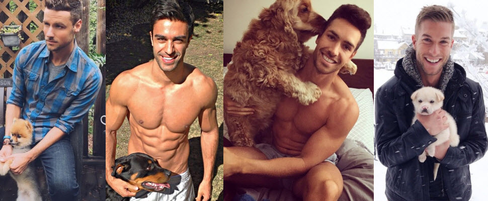 姊妹們尖叫吧！帥哥與毛小孩將融化妳的心