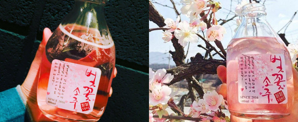 櫻花季就是要大口吃肉大口喝櫻花酒才過癮！