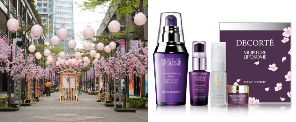 黛珂邀你悠閒過周末，邊聽歌邊賞櫻彷佛置身日本！