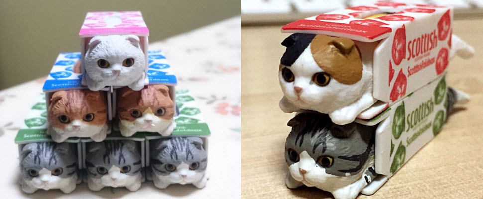 貓奴必轉！新款貓咪扭蛋登場，面紙盒中的摺耳貓好卡哇咿喔～