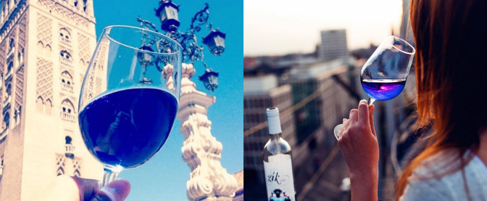 誰說葡萄酒一定是紅色?BLUE WINE將顛覆你的想法! 誰說葡萄酒一定是紅色?BLUE WINE將顛覆你的想法!