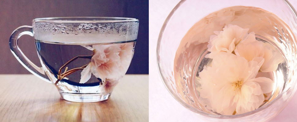 就用這杯「櫻花茶」迎接美好的春天吧～