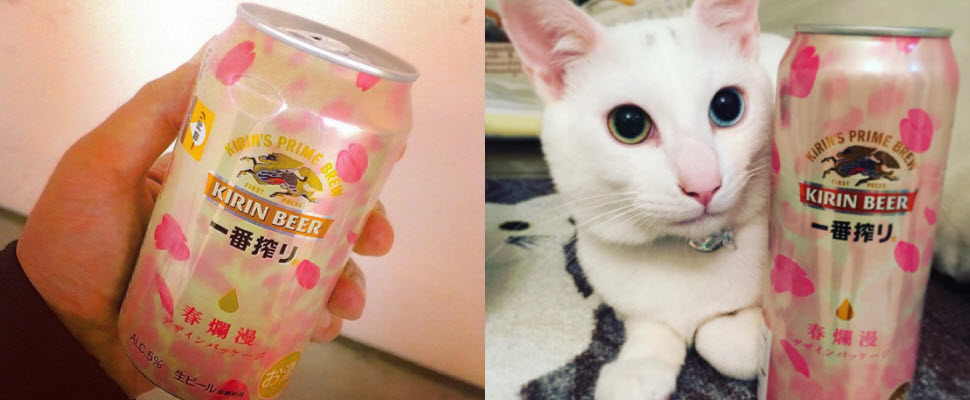 春天就是要很粉嫩,當然啤酒也要粉嫩一下囉~ 春天就是要很粉嫩,當然啤酒也要粉嫩一下囉~