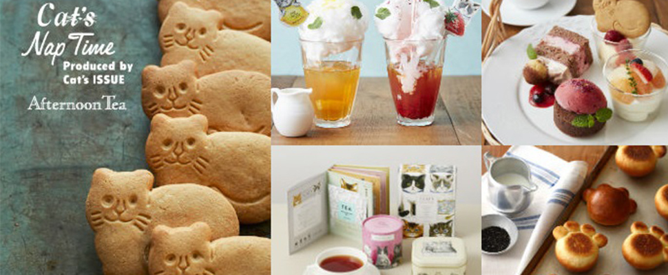 日本Afternoon Tea推出貓咪繪本風限時咖啡廳，貓奴們尖叫吧～