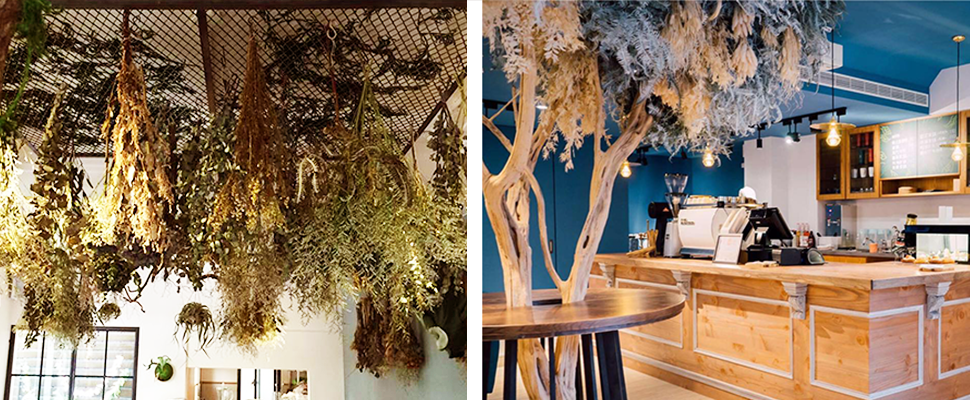 歐膩常去的乾燥花咖啡廳台北也找的到！4間植物系咖啡廳女孩請低調私藏！