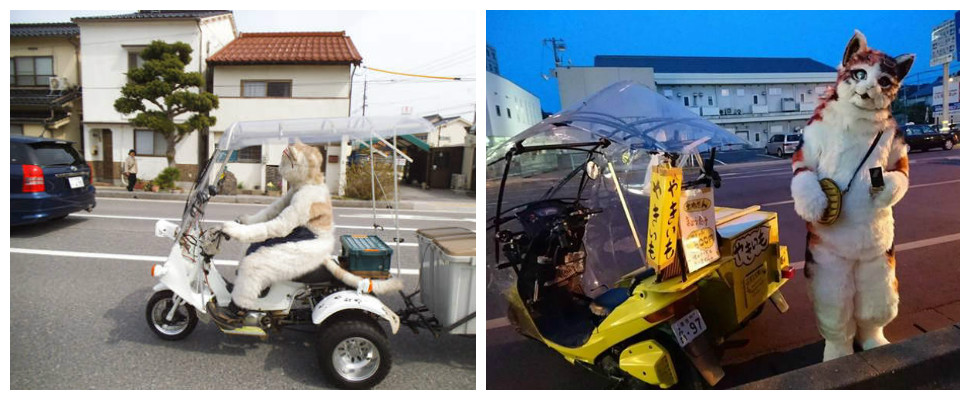 我有看錯嗎?貓咪居然會賣烤地瓜! 我有看錯嗎?貓咪居然會賣烤地瓜!