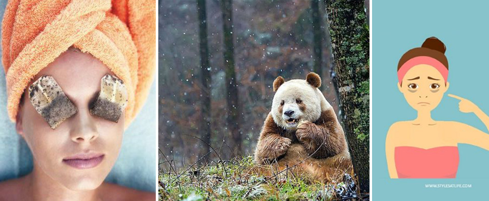 熊貓不要來！用對方法只要一分鐘，讓你跟黑眼圈說掰掰