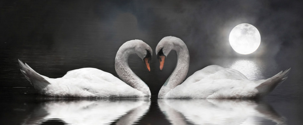 你是否疑惑為何自己總是遇不到對的人...那是因為愛情，需要練習～