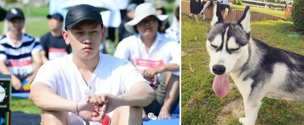 可不要小看它們，真的有這樣奇怪的比賽！你們想要報名參加嗎？