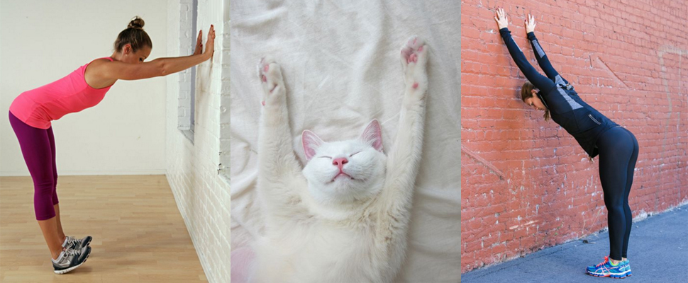 真「腰瘦」！貓伸懶腰減肥法，竟然讓你一個月內少掉10公分？