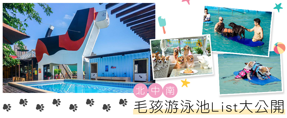 夏日消暑玩水趣！北中南毛小孩游泳好去處｜毛小孩