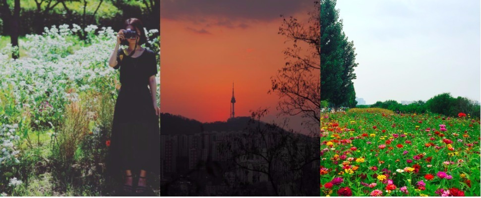 到這裡打卡算妳厲害！首爾人不想告訴觀光客的市區秘境～