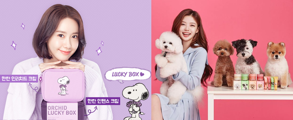 太萌惹只能投降～韓國美妝派出汪星人來搶劫妳的荷包啦！